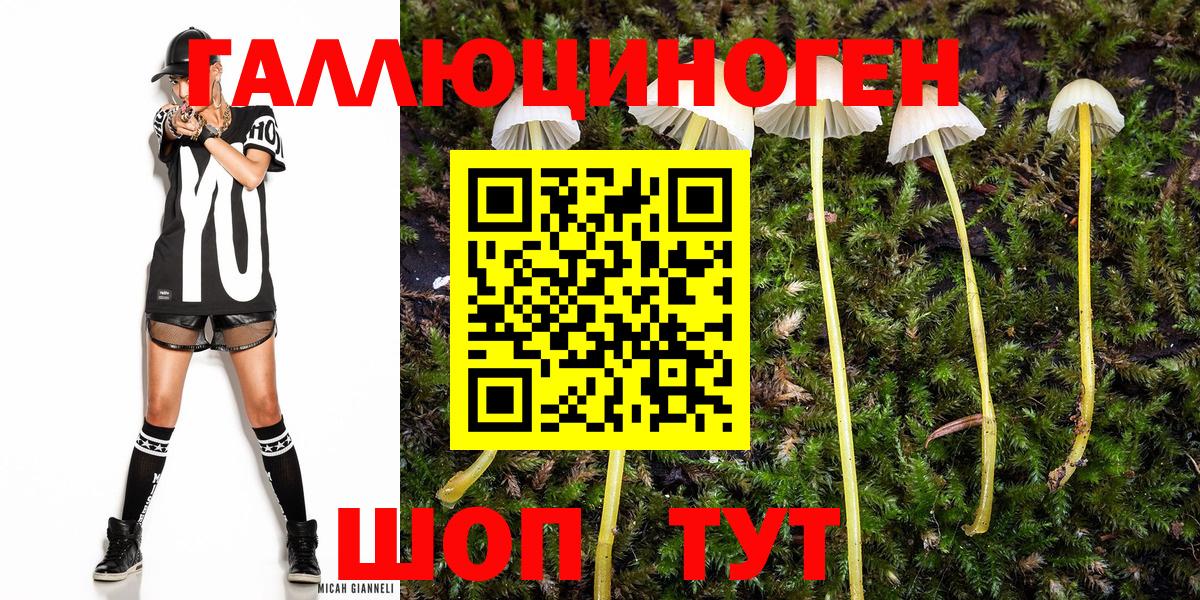 Галлюциногенные грибы Cubensis Воронеж